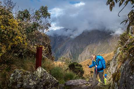 Camino inca
